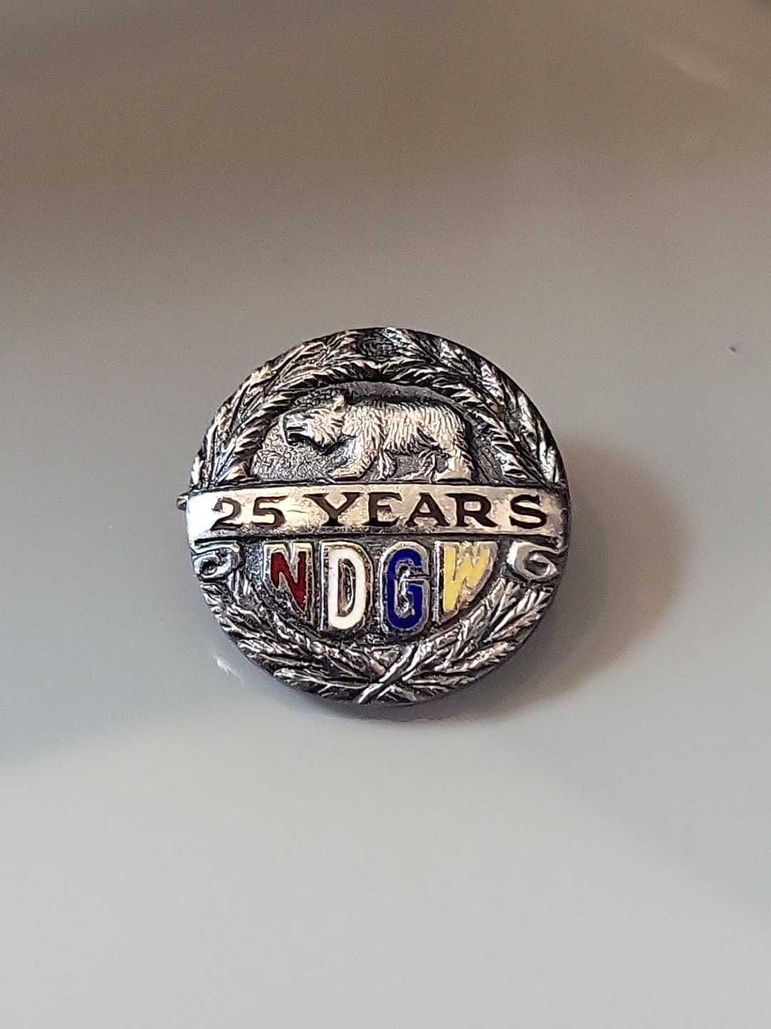 Vintage Pin Sterling Slver NDGW 25Yr Pin Native Daughters Of The Golden West Q82