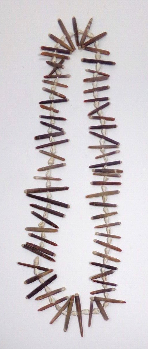 Beach Shell Necklace 32″ Long Natural Coastal Style JZ23