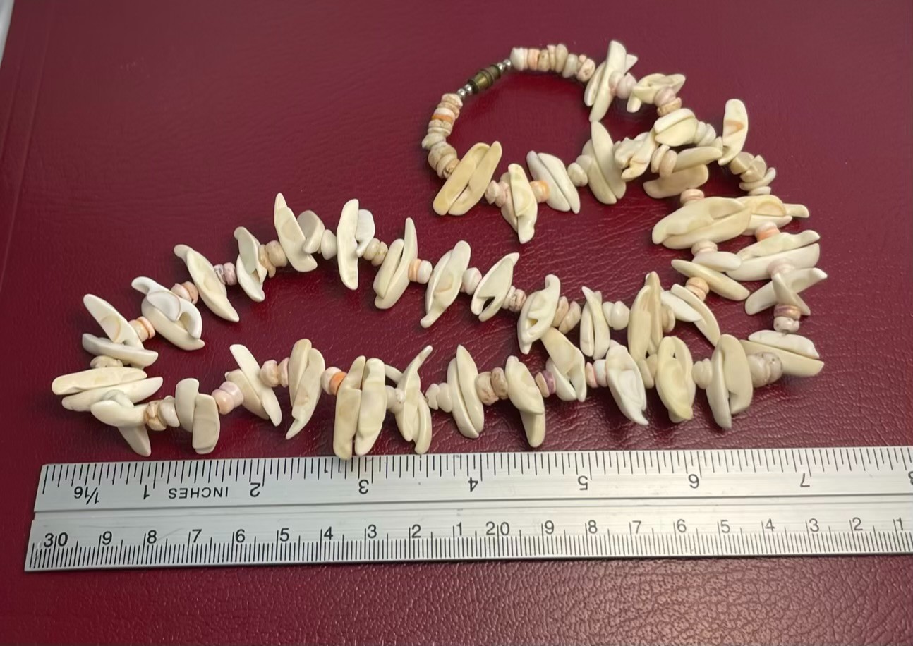 Seashell Necklace Freeform Spiky Beads Natural Off-White Pink Chunky Beach 24″