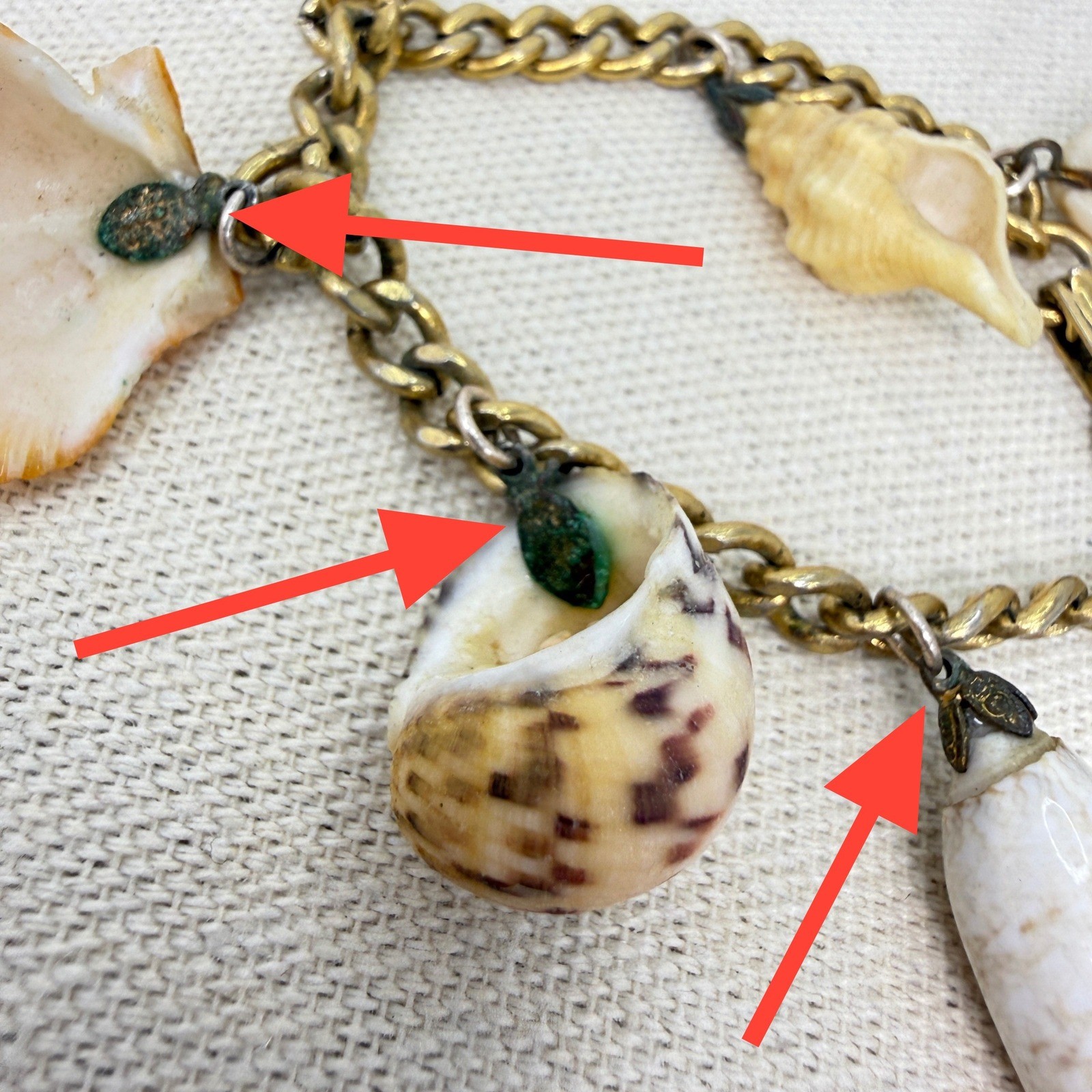 Sea Shell Charm Bracelet Vintage Natural Gold Tone Curb Chain Boho Coastal