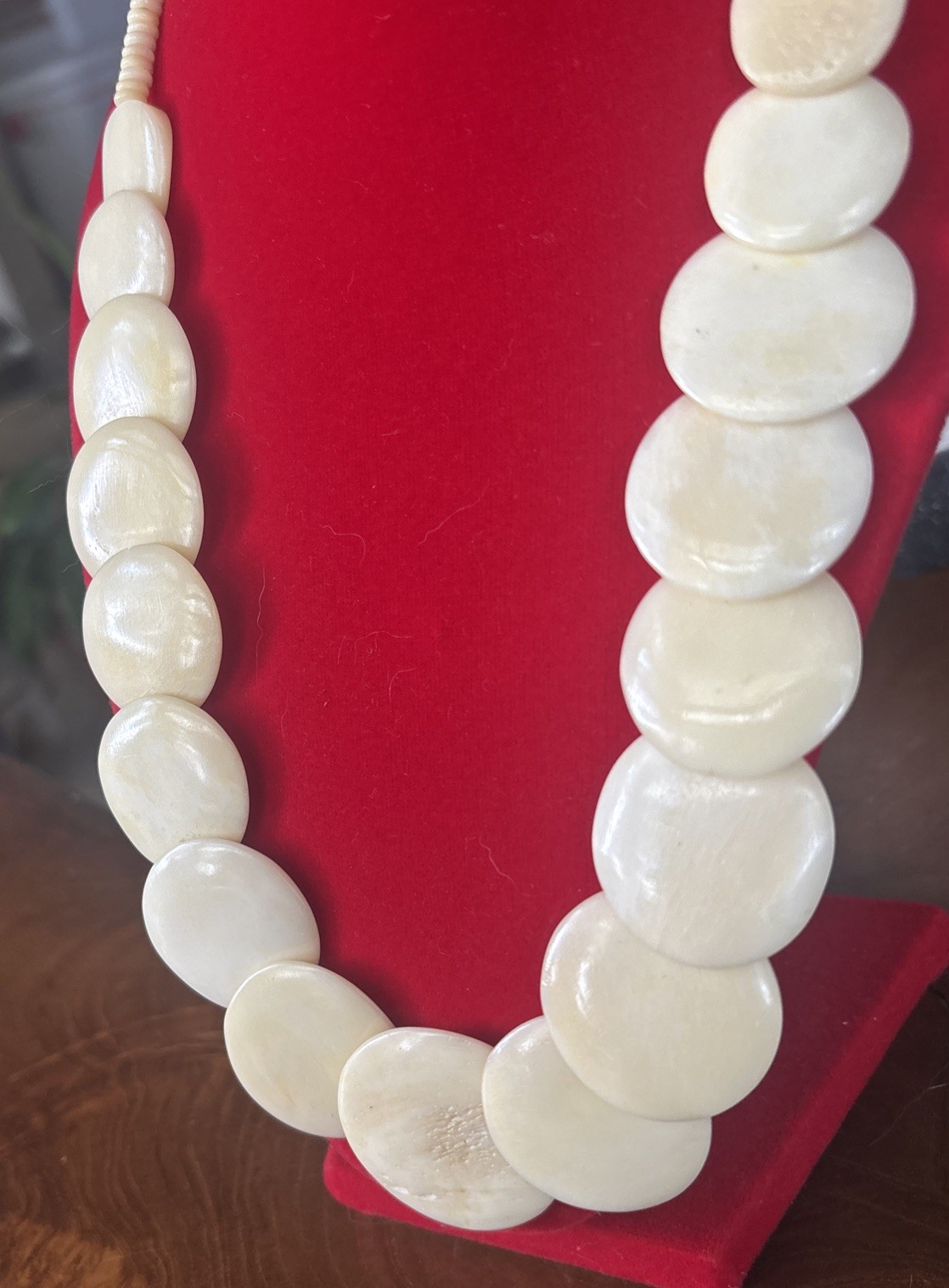 Vintage Signed ZAD Boho Bovine Bone Disc Necklace Up To 25”