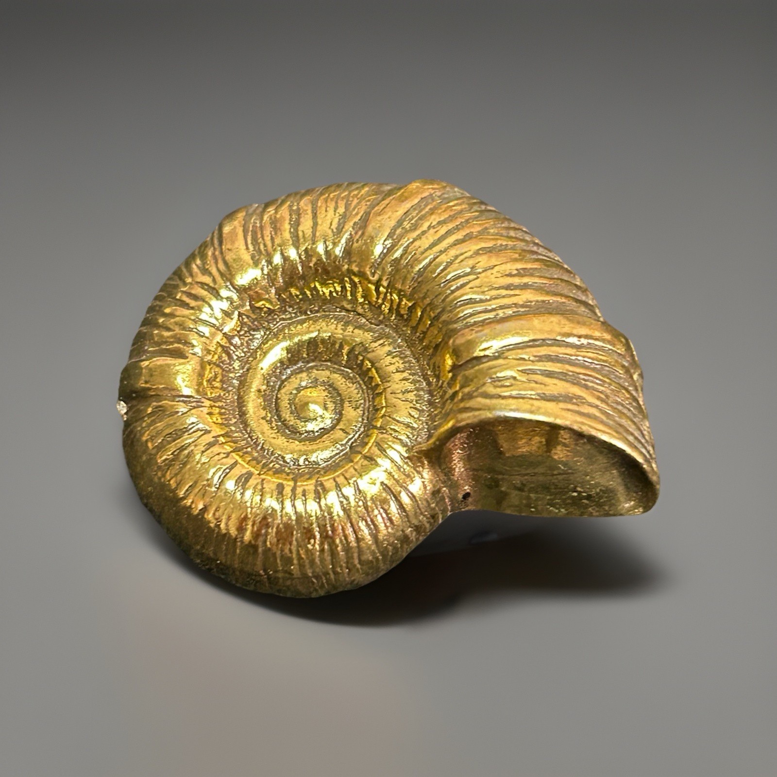 Vintage Zentall Ammonite Nautilus Shell Brooch Gold Tone Fossil 1.25”