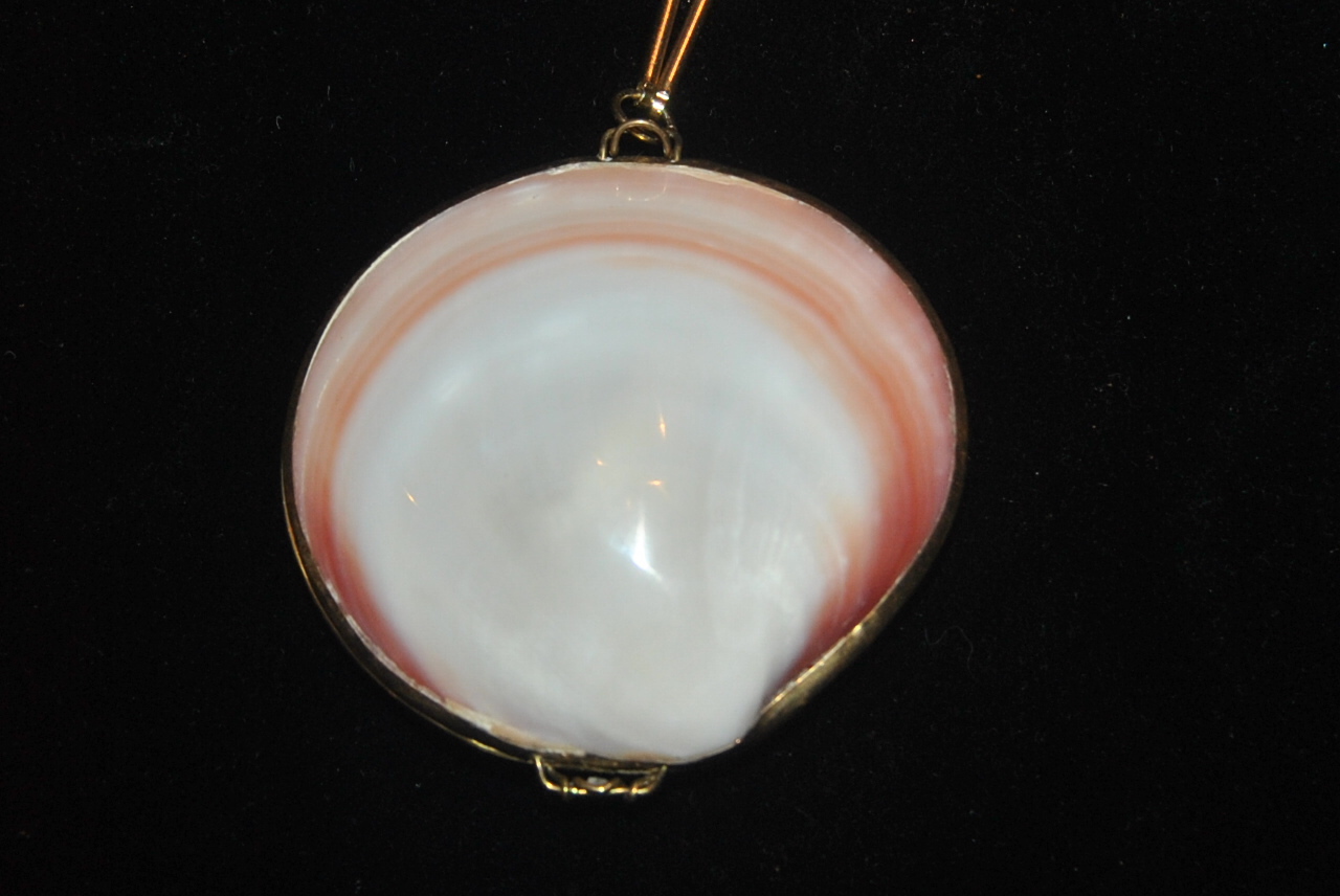 VINTAGE GOLD FRAMED LARGE CLAM SHELL PENDANT NECKLACE PURSE & BOX