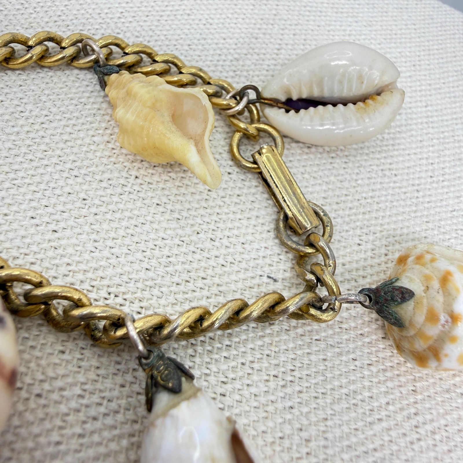 Sea Shell Charm Bracelet Vintage Natural Gold Tone Curb Chain Boho Coastal
