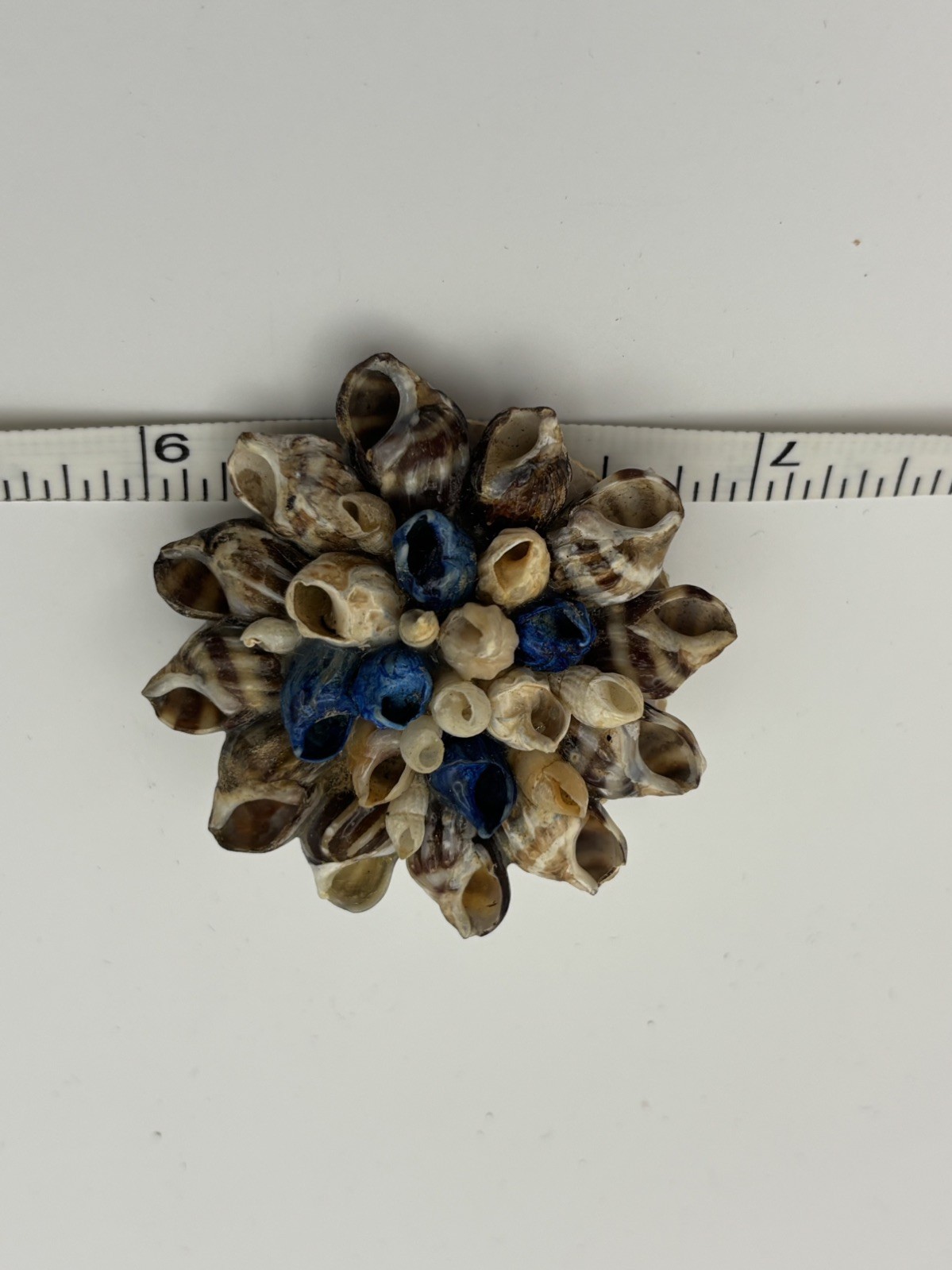 Vintage Blue & Tan Floral Cluster Sea Shell Brooch Pin Sea of Galilee 1993