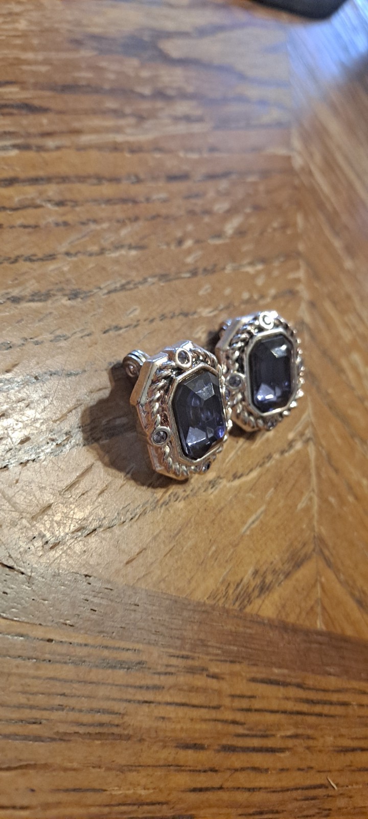 Purple/blue Stone With Silver Backing Clip On Earrings