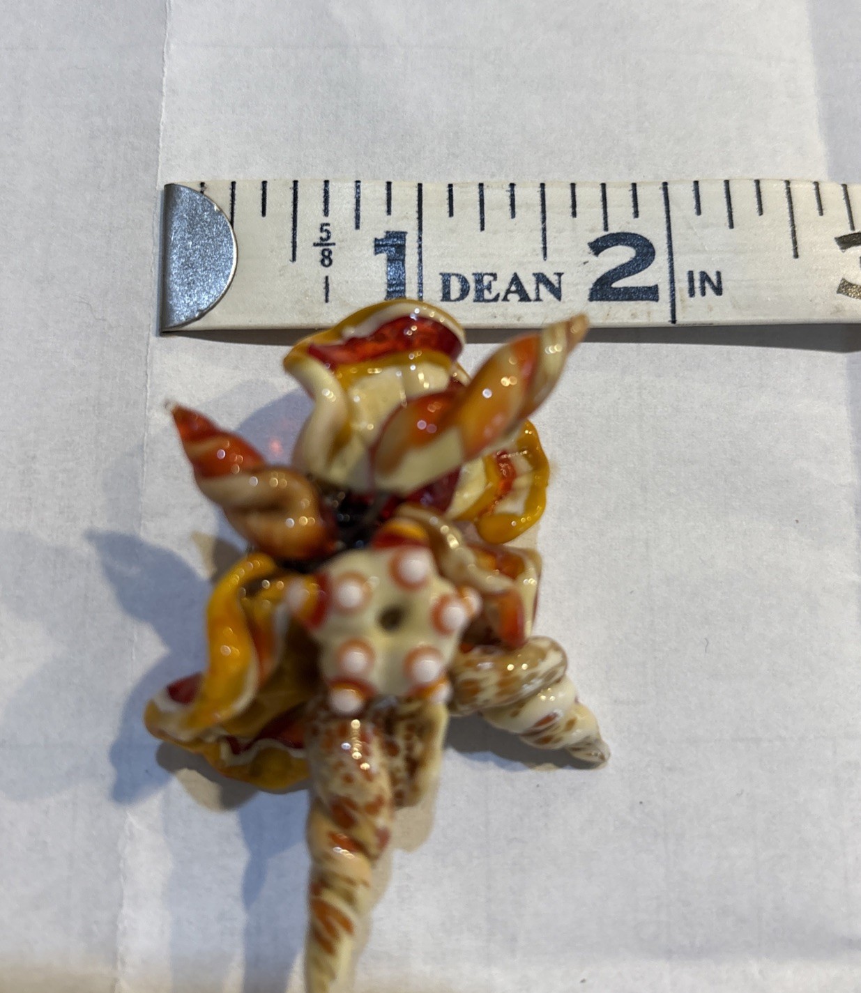 Lucite Acrylic Sea shell Brooch Pin
