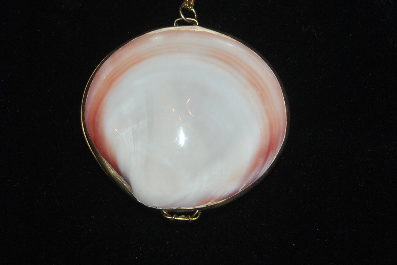 VINTAGE GOLD FRAMED LARGE CLAM SHELL PENDANT NECKLACE PURSE & BOX