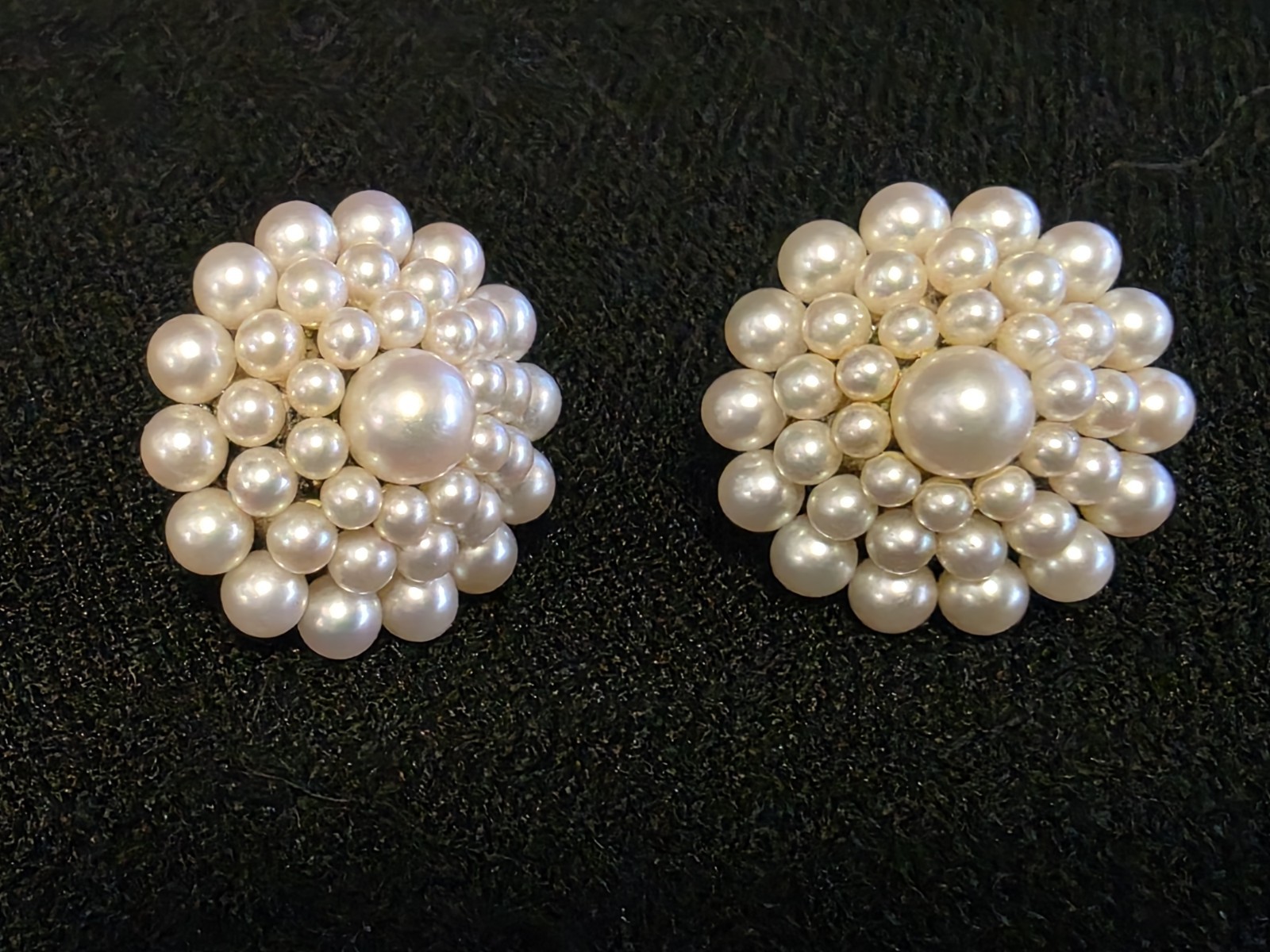 Vtg 1950s Mikimoto 38 Pearl W/ Silver Screw Back Earrings
