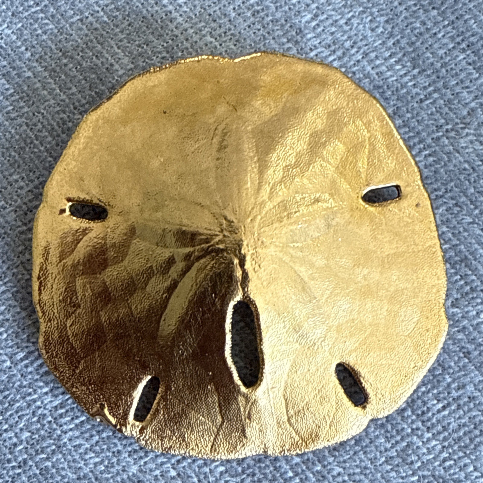Vintage Large Brooch Pin Sand Dollar Gold Plated Estate Jewelry