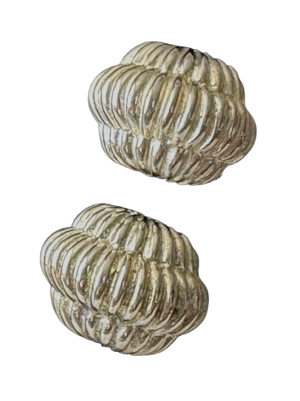 Gay Boyer Shell Earrings VTG Clip On Silver Tone 80s 90s Designer Signed