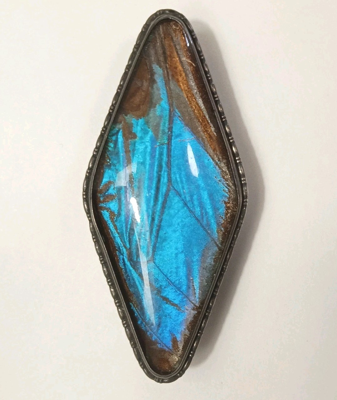 Antique Sterling Silver Brooch Signed “England” Bl. Butterfly wing in glass 2″