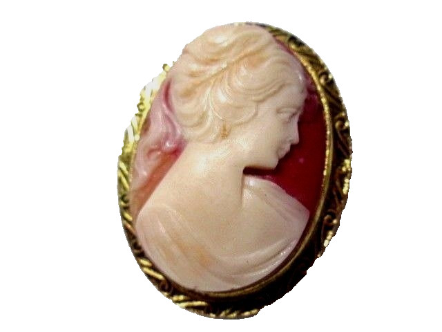 CLASSIC STYLE CARVED LUCITE CAMEO PIN GOLD TONE FANCY SETTING VINTAGE