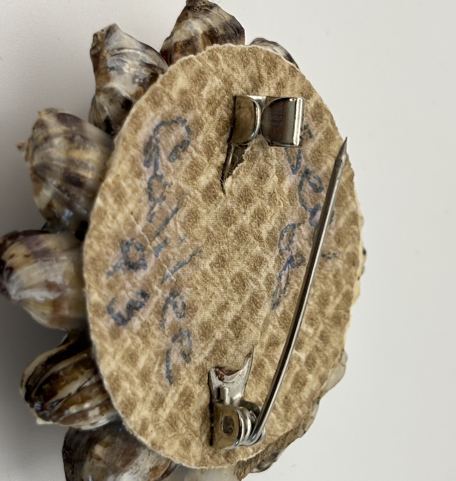 Vintage Blue & Tan Floral Cluster Sea Shell Brooch Pin Sea of Galilee 1993