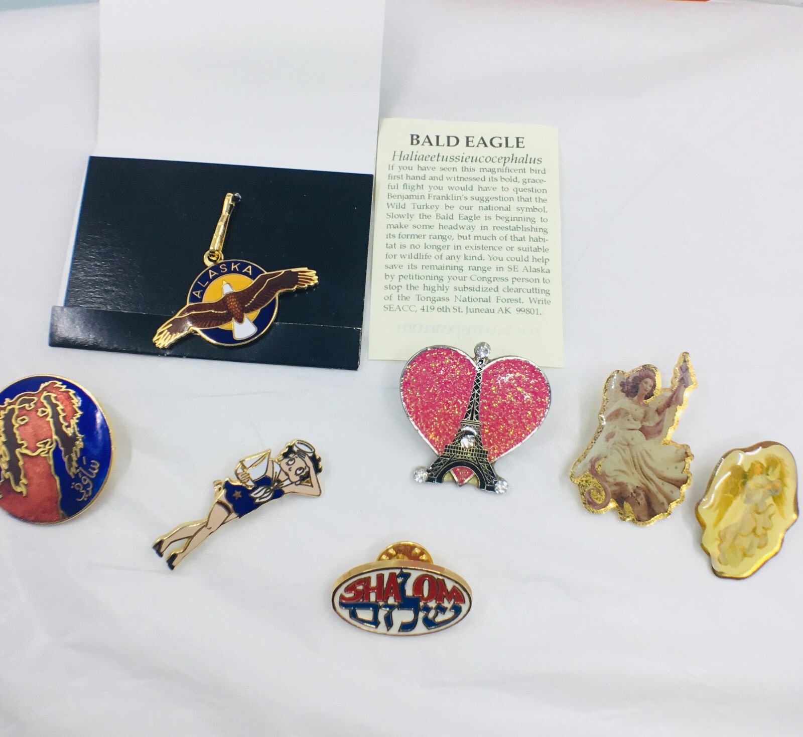 Vintage Lot of 6 Collectibles Souvenir Lapel Pins & Alaska Bald Eagle Charm/Pend