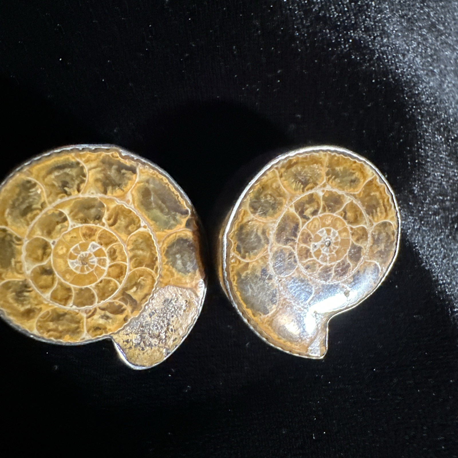 Vintage AKR Amy Kahn Russell Clip Earrings 1.5 Inch Ammonite 925 Sterling 27.2g