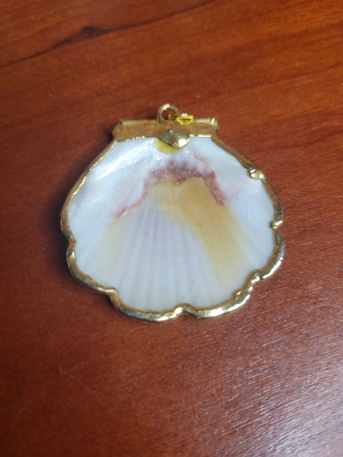 Natural Sea Shell Gold Trim Pendant