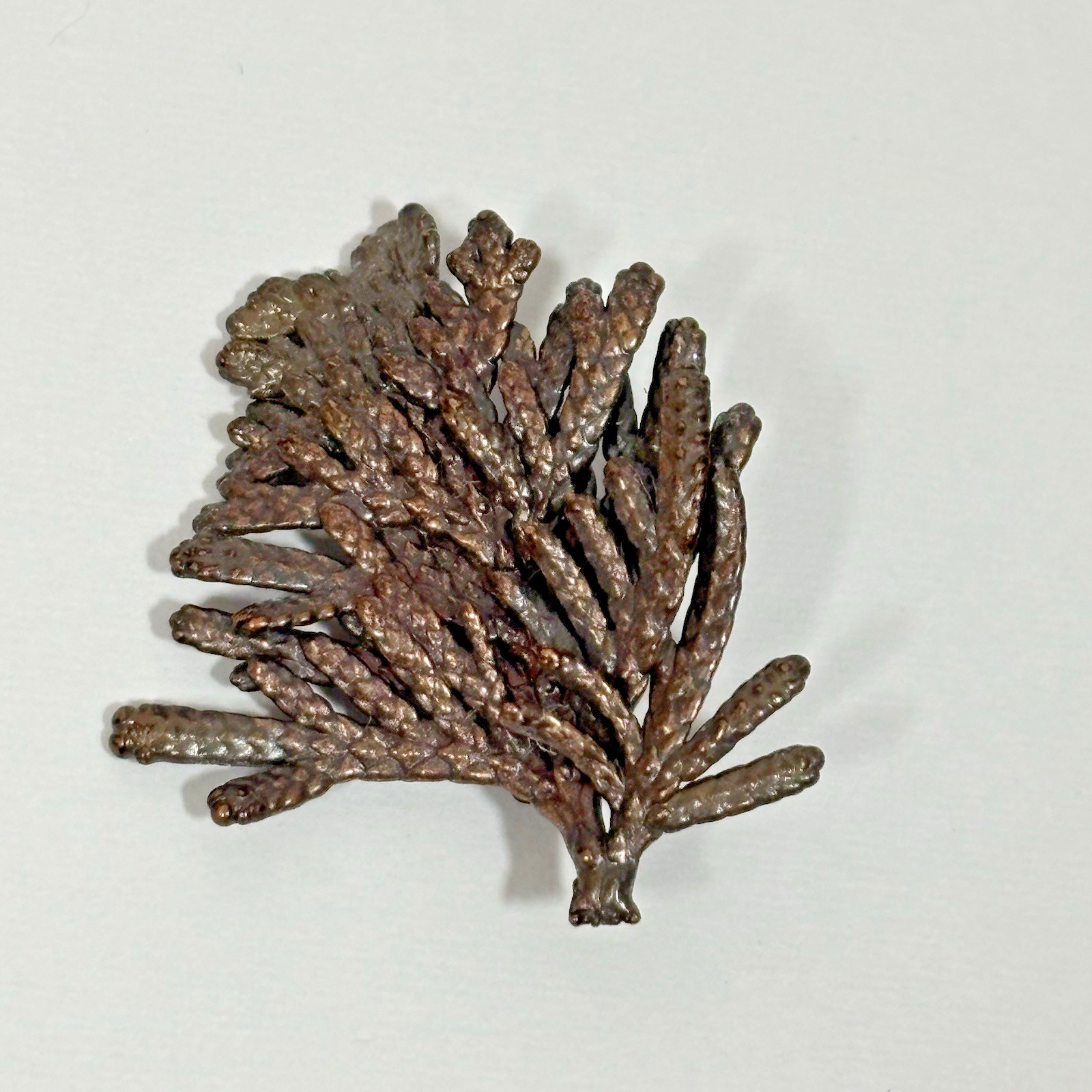 Nature’s Creations Lot of 2 Brooch Pin Copper Arborvitae Thujas & Geranium Leaf