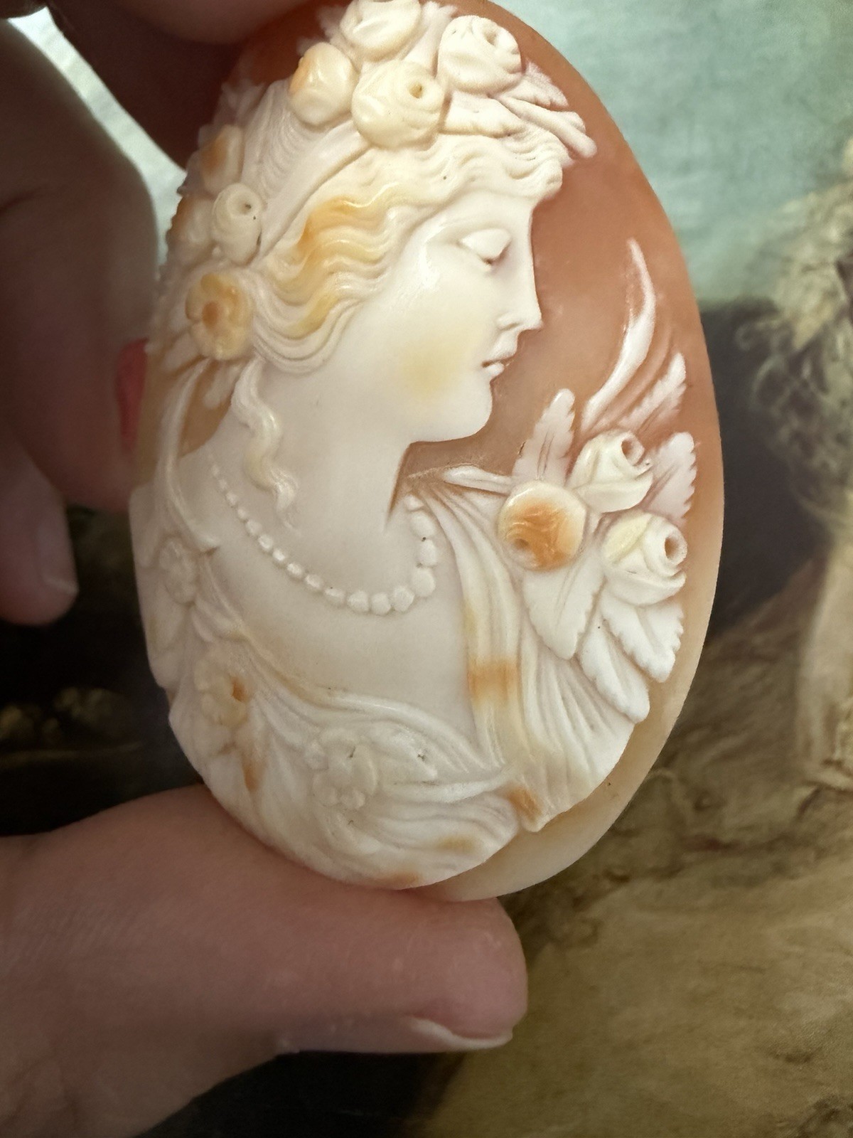 LARGE Victorian Loose Italian Carved Shell Cameo 52x39mm.