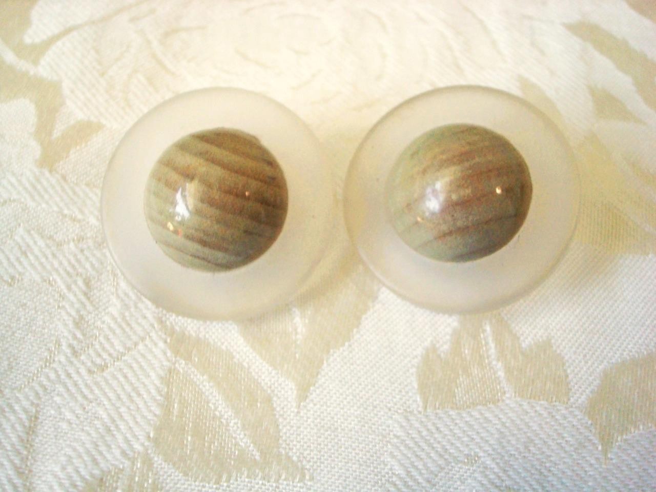 Vintage Chunky Frosted Clear Lucite Plastic and Domed Faux Wood Clip Earrings KJ