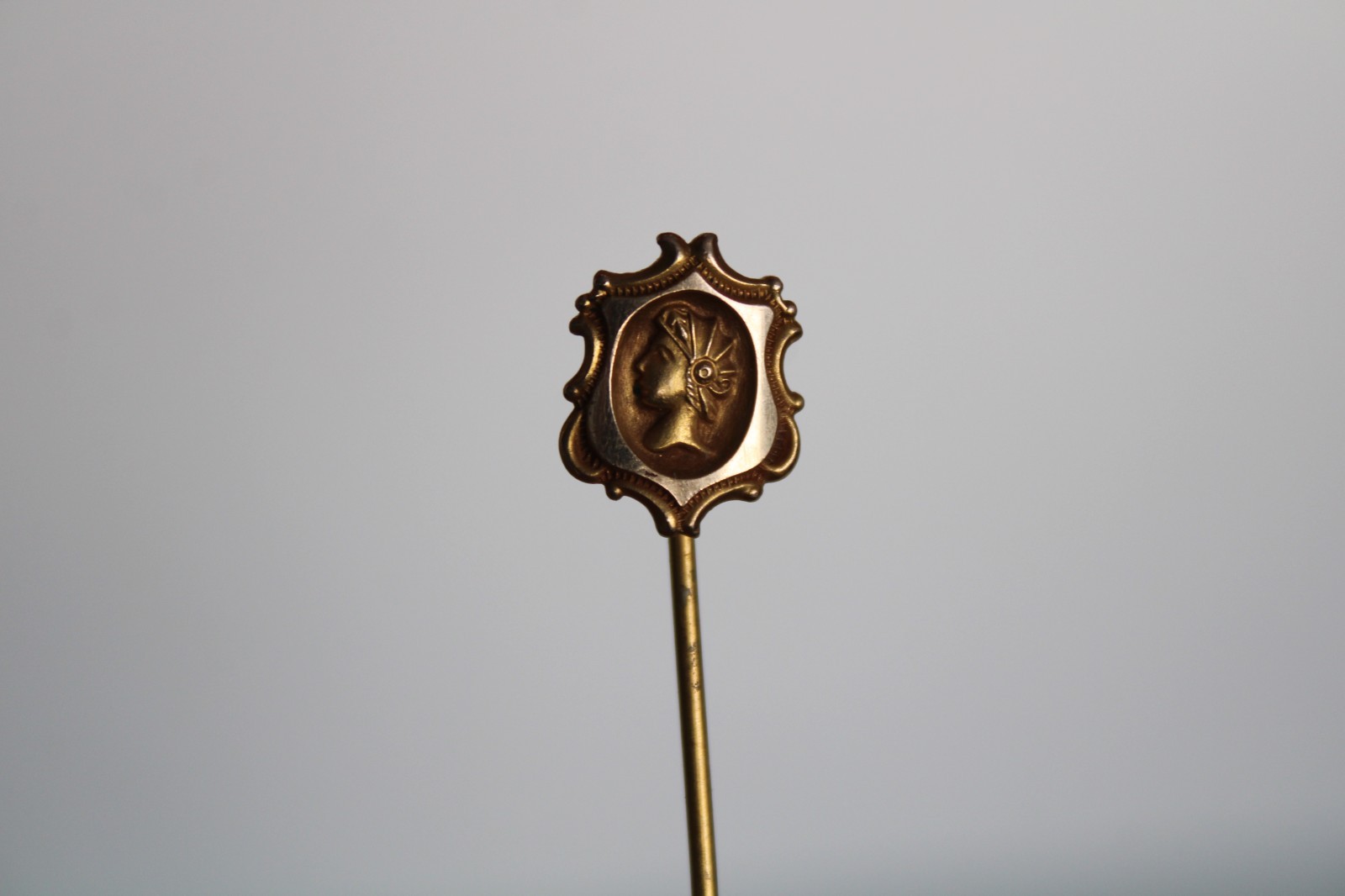 (2) Antique Art Nouveau Cameo & Shield Portrait Stick Pin