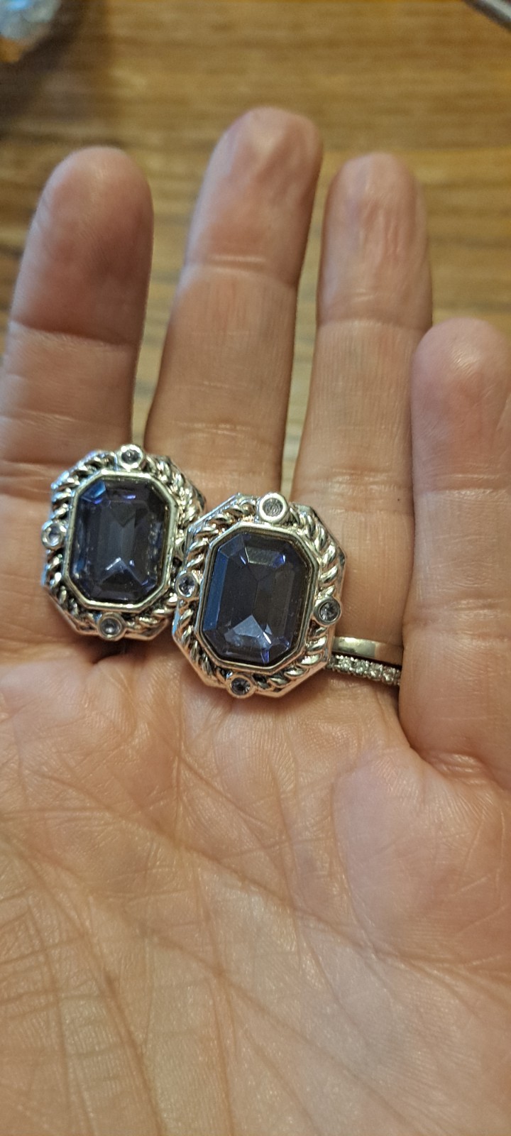Purple/blue Stone With Silver Backing Clip On Earrings