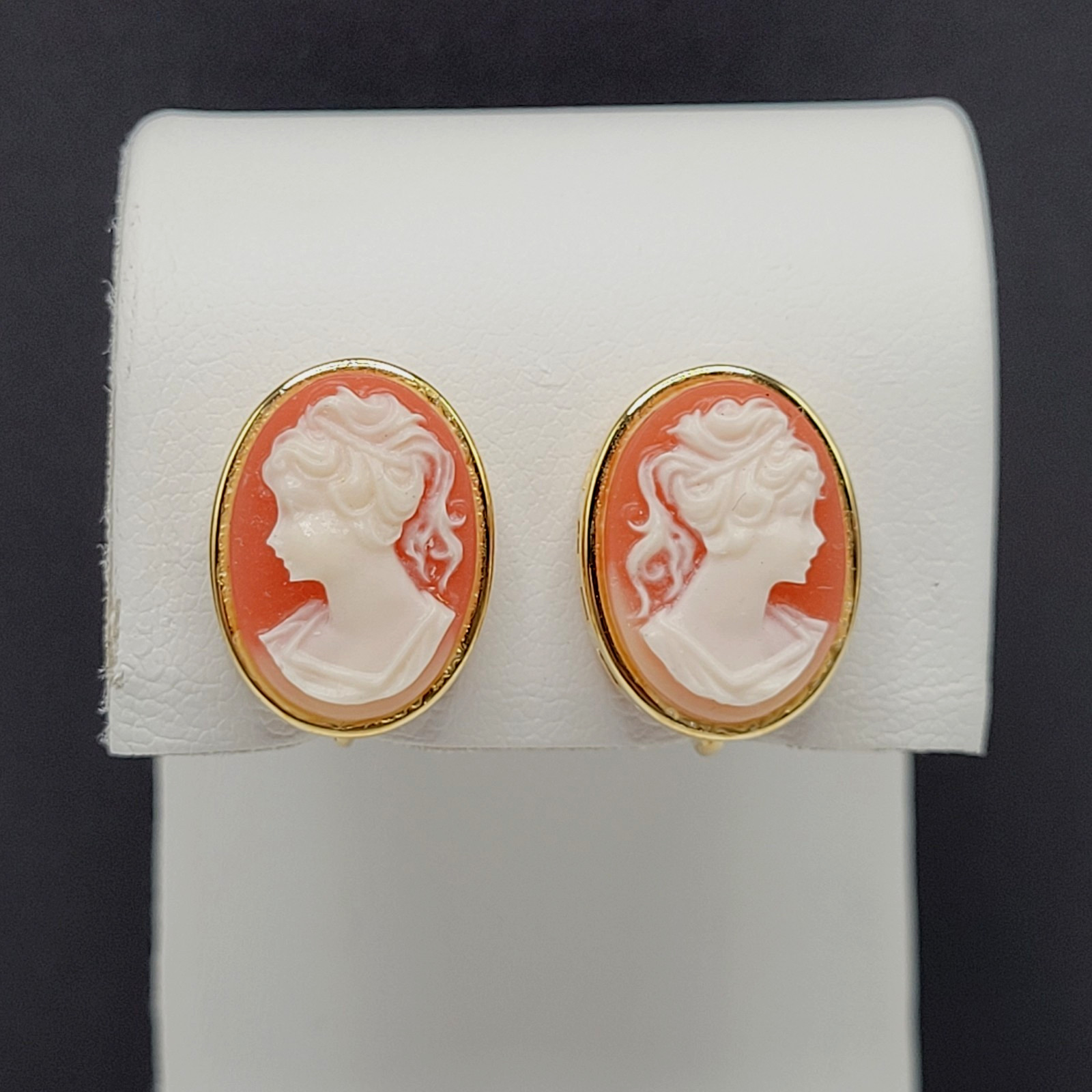Cameo Set Resin Backed Gold Tone Open Works Frame Salmon Coral Color Revival