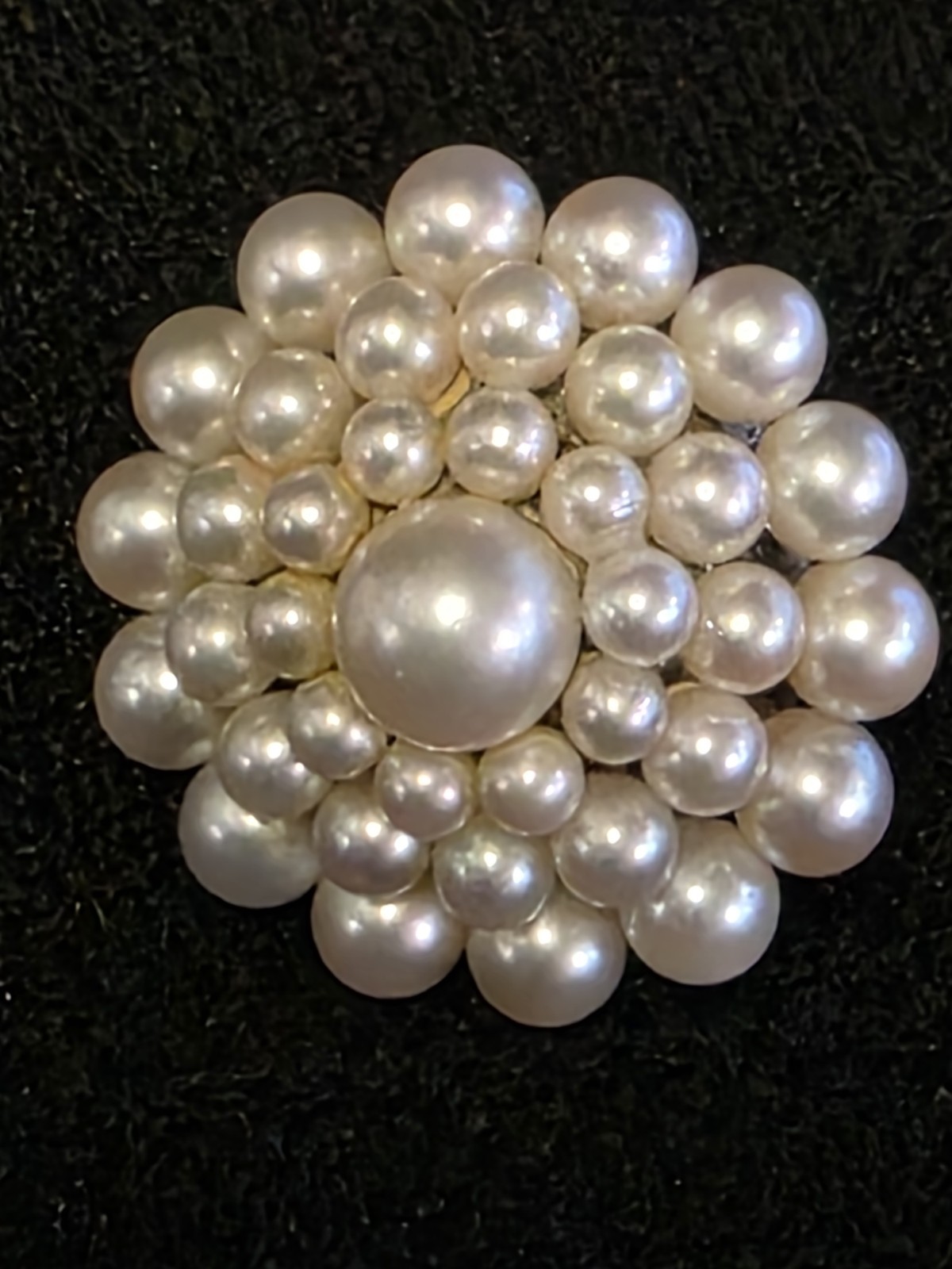 Vtg 1950s Mikimoto 38 Pearl W/ Silver Screw Back Earrings