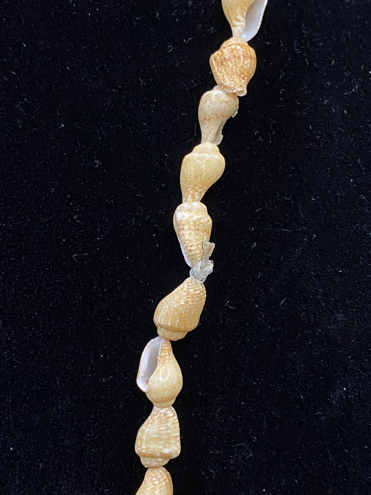 Necklace Conch Shell White and Beige