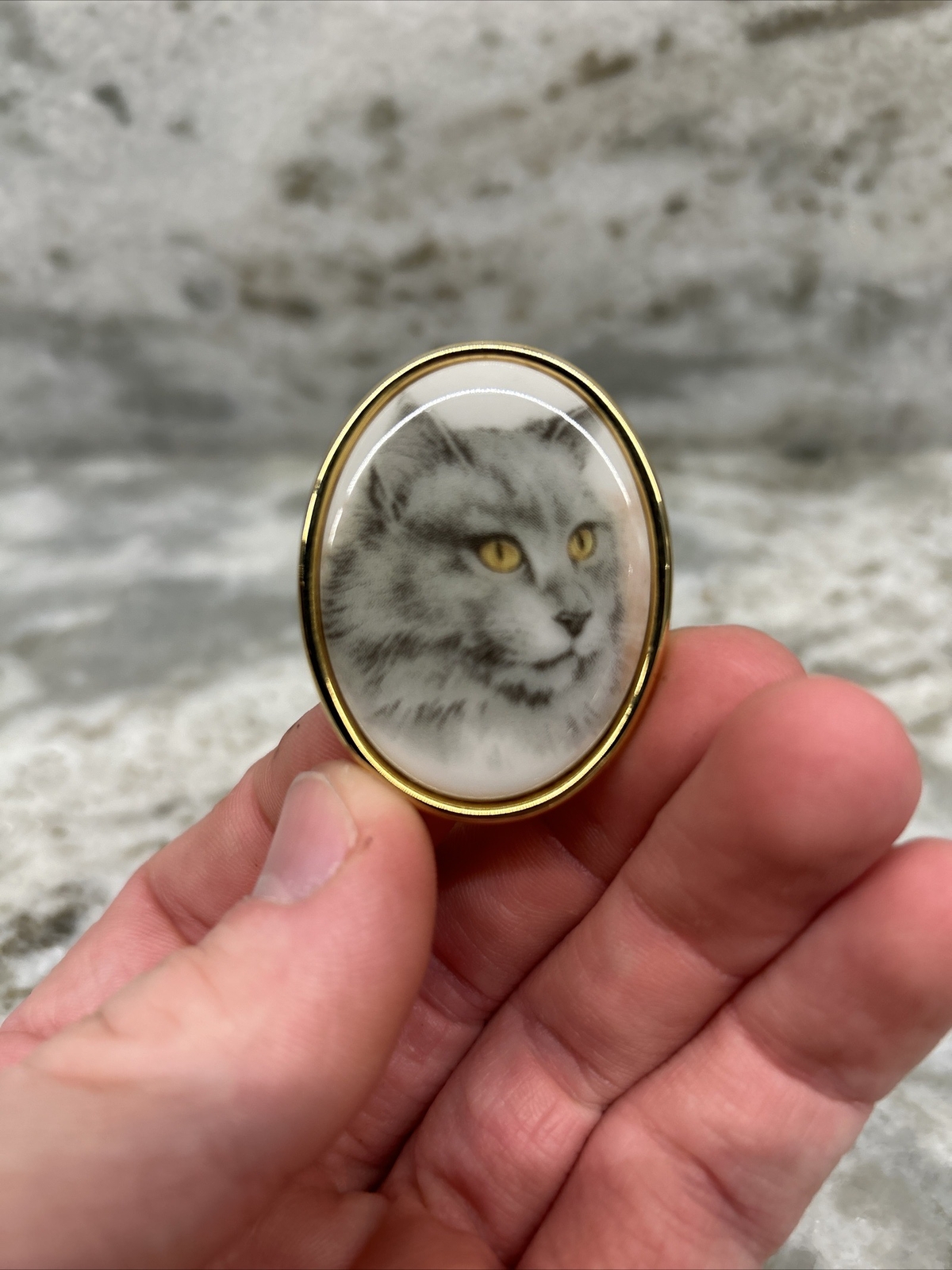 Vintage Goldtone Pin With A Grey Cat ~Acrylic Or Glass~Not Sure Cat Lady