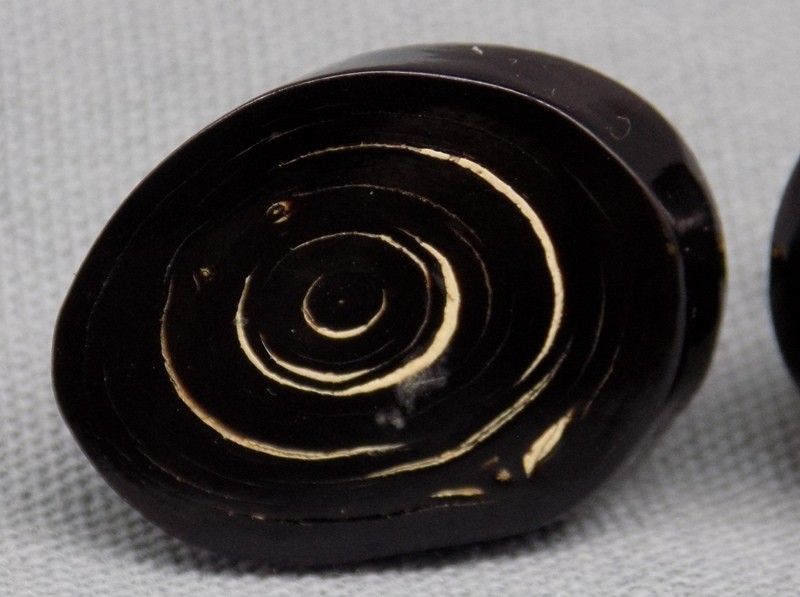 Vintage Hawaiian Black Coral 12KT GF Clip Back Earrings Round Slab