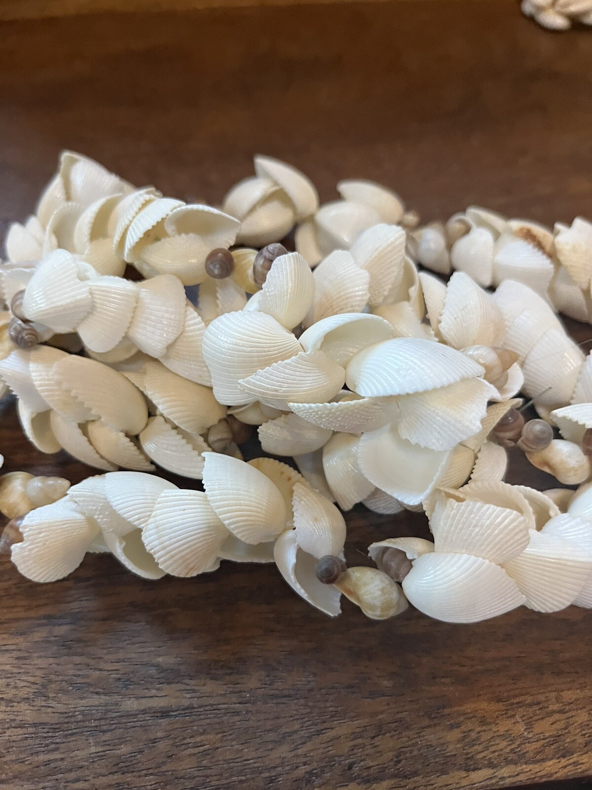 Vintage Hawaiian Wedding lei necklace 34 In Clam Shells Beautiful