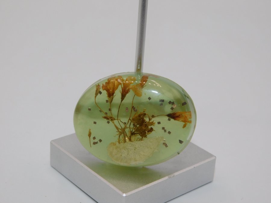 B681-VINTAGE PIN/BROOCH~LOCALLY MADE~REAL SHELL/PLANTS~ACRYLIC~1.5″