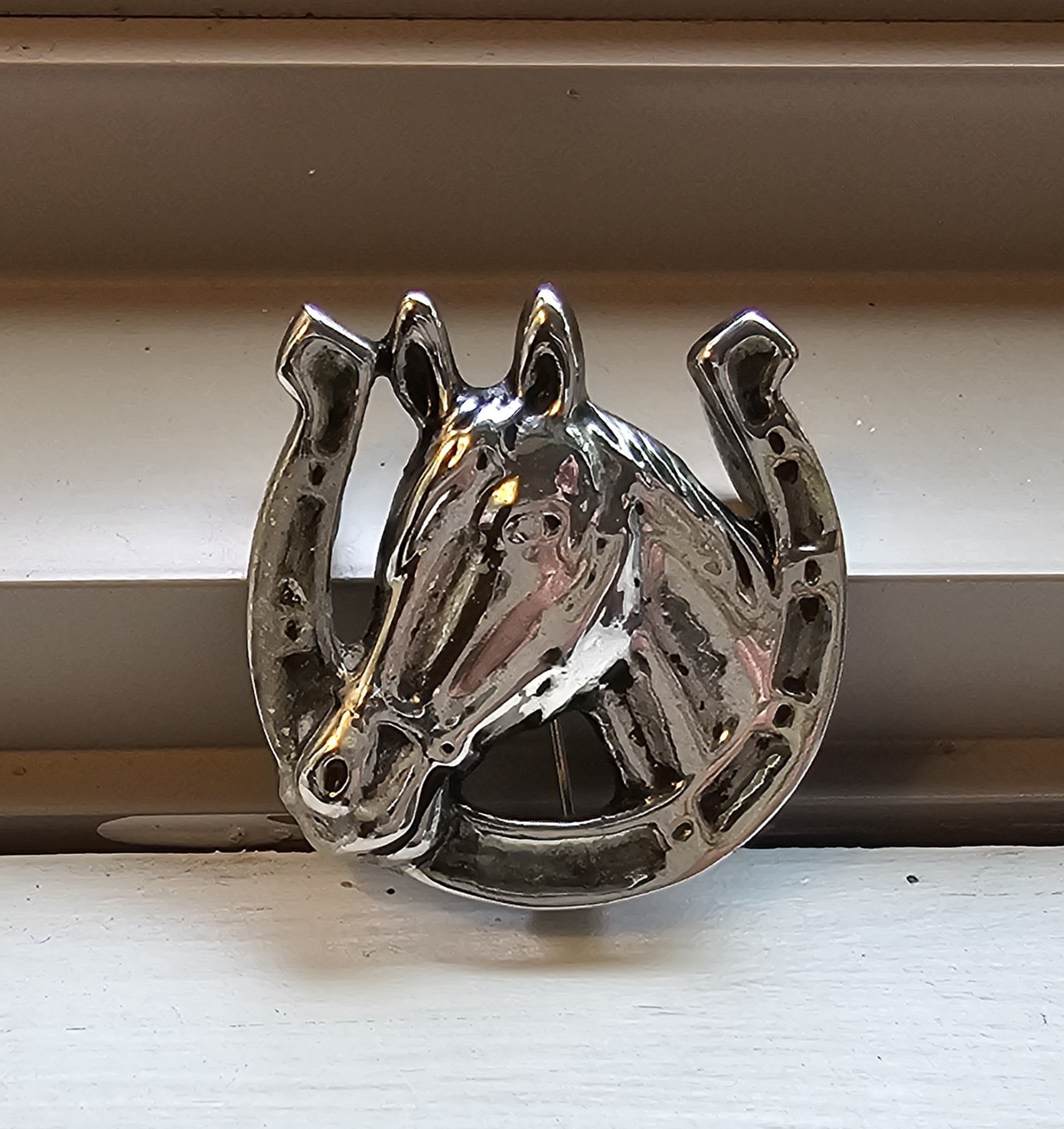 Horse Head in Horse Shoe Silver Toned Brooch Pin/Pendant Equestrian Jewelry VTG!