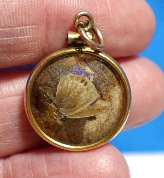 GOLD FILLED MOTH WINGS UNDER CONVEX GLASS ANTIQUE CHARM PENDANT 2.1 GMS J-623