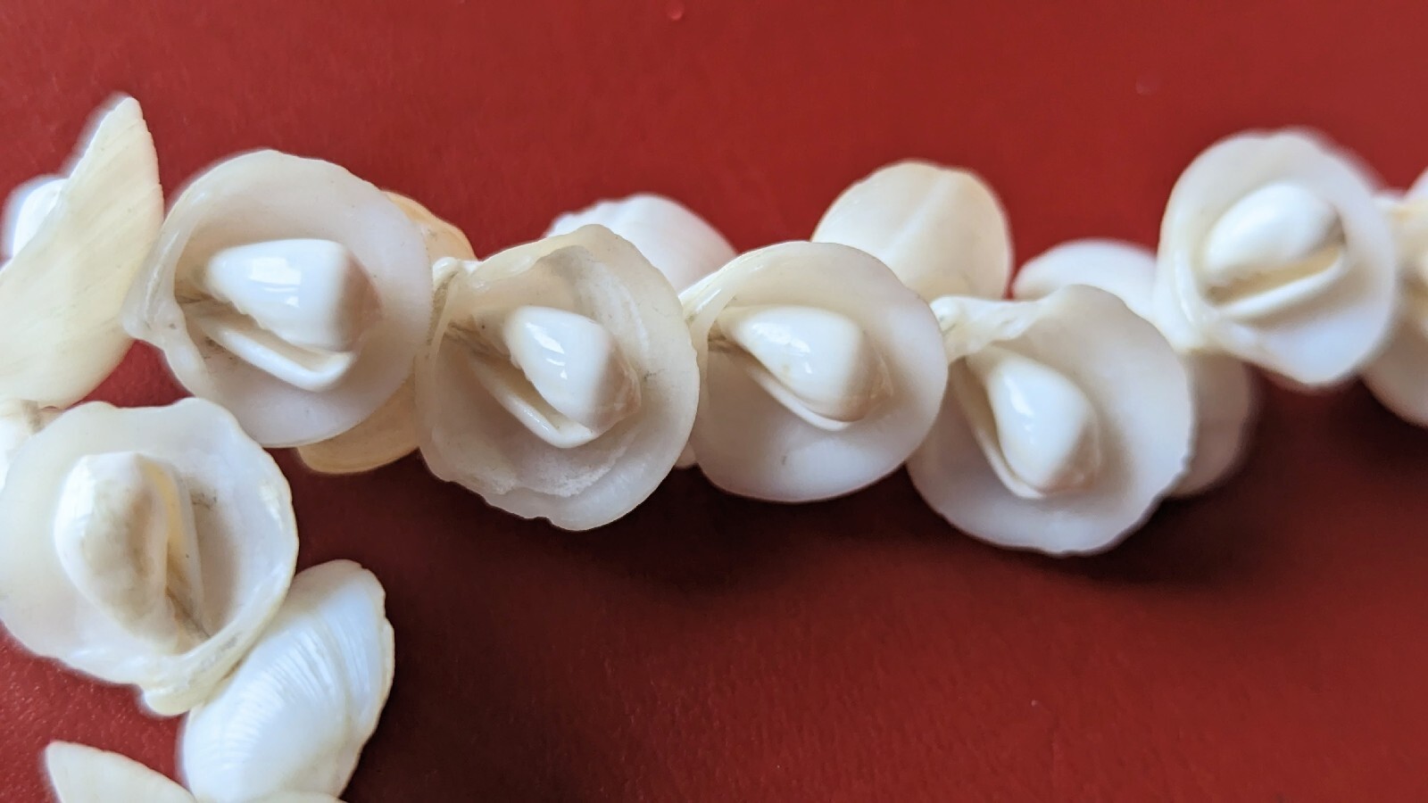 Vintage 16″ CHOKER White Art Deco Flower Shell Necklace Beach Momi Jewelry as is