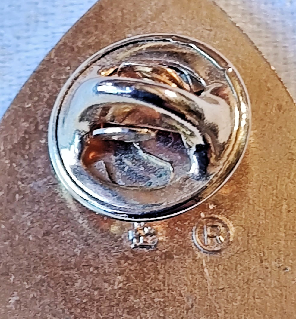 VTG Camp Lions Home Hadley District 1F / ILL Brail Gold Tone Pinch Back Pin