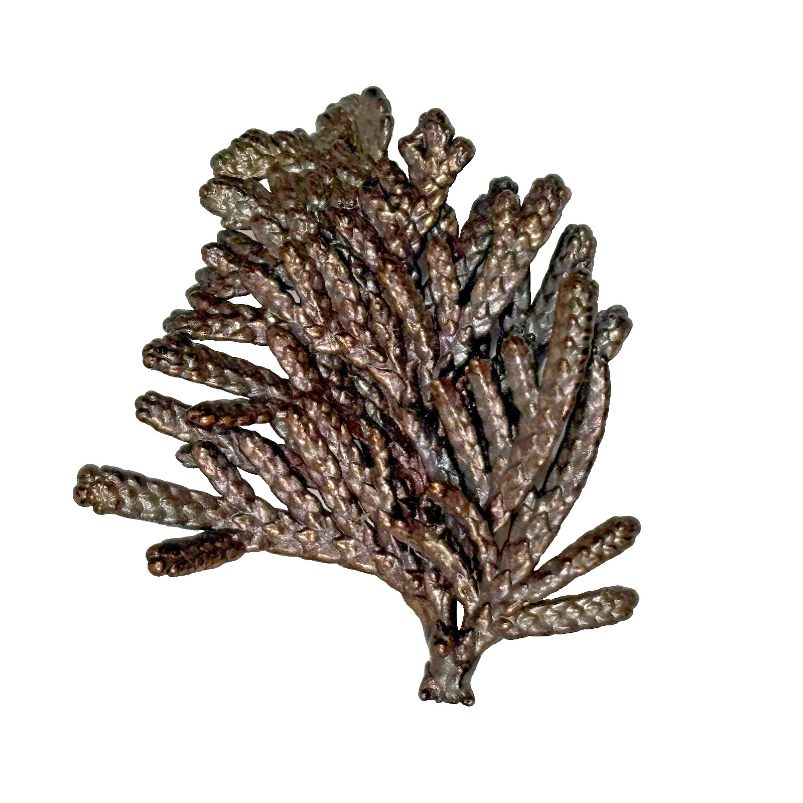 Nature’s Creations Lot of 2 Brooch Pin Copper Arborvitae Thujas & Geranium Leaf