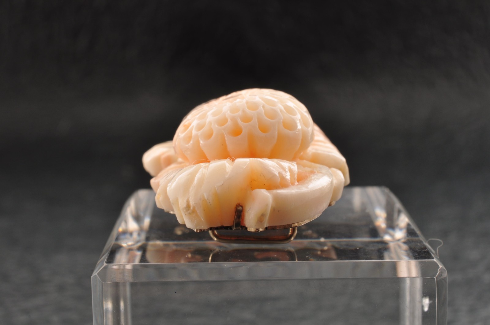Vintage angel skin coral carved, “Chrysanthemum” and Certificate (total 83.0ct).