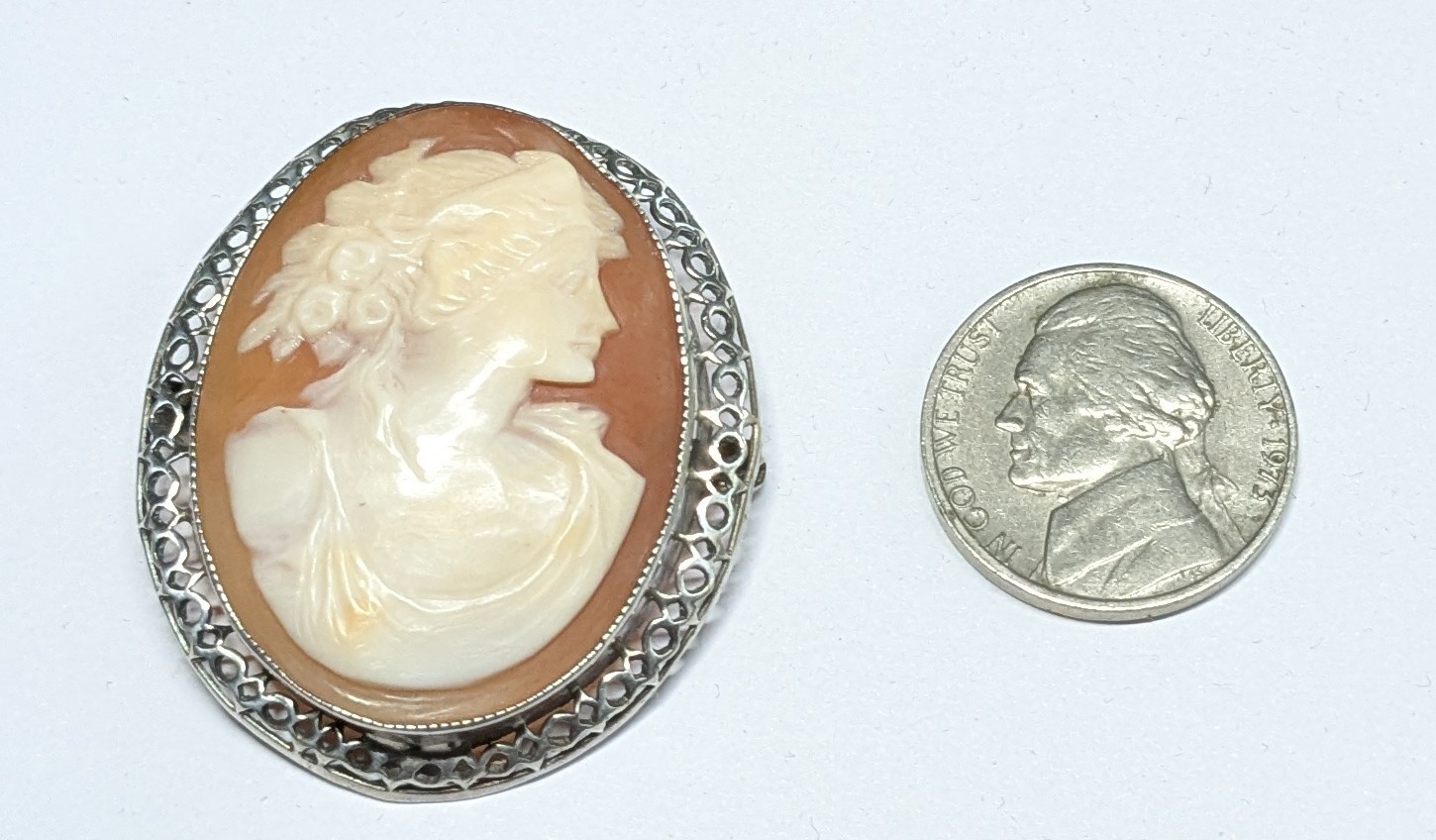 Vintage Silver Color Shell Cameo Pin Lady With Safety Clasp (AK)