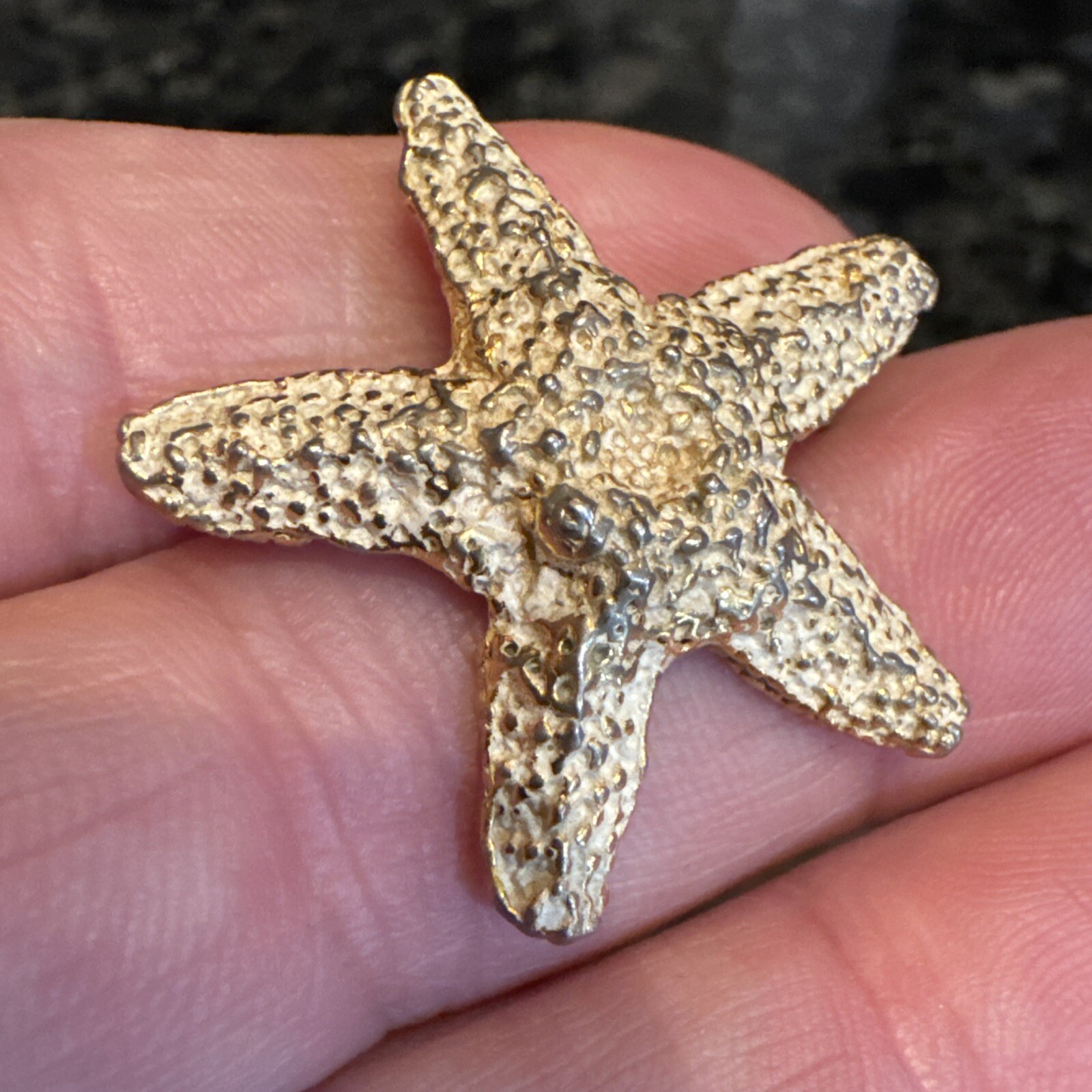 Zentall Vntg Rare Gold Tone TexturedStar Fish 1 1/4″ Brooch Pin Signed