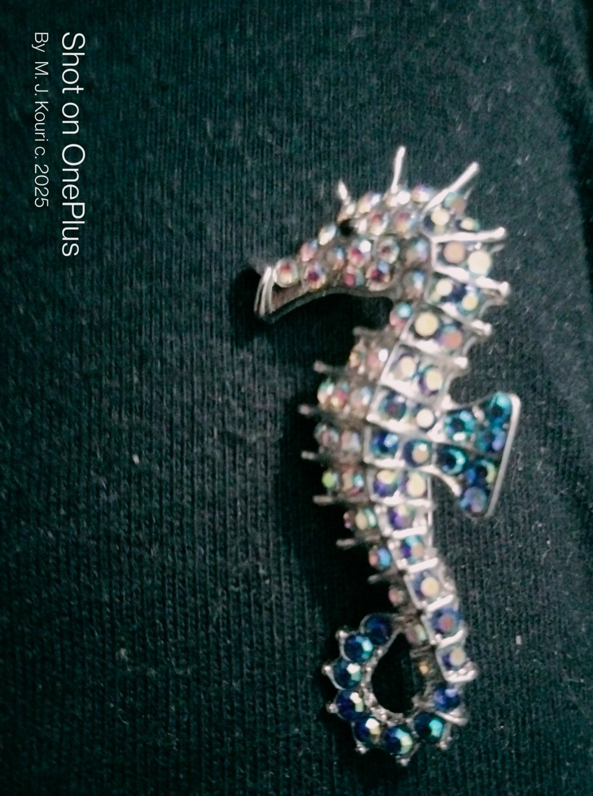 Darling Vintage Sea Horse Pin Owned By Doris Day & Rock Hudson