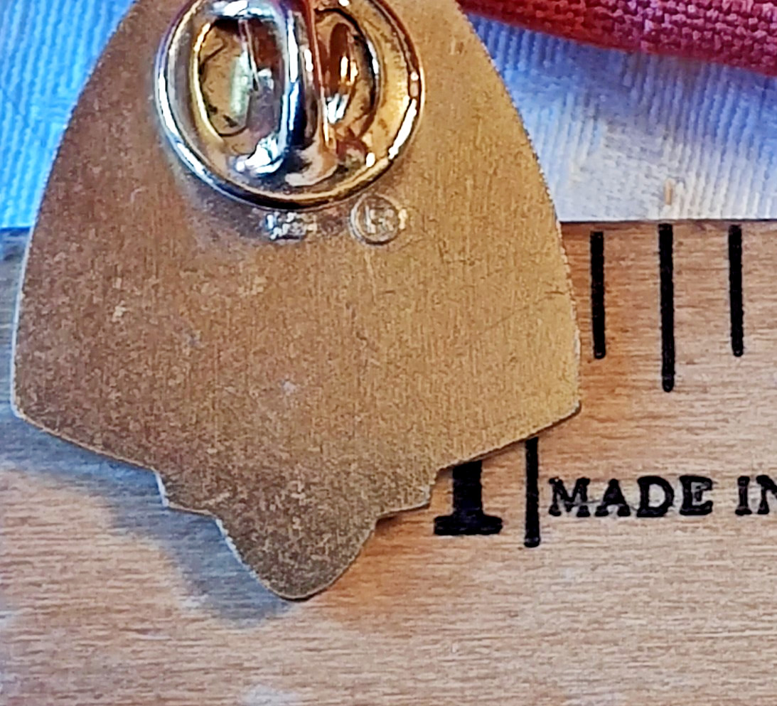 VTG Camp Lions Home Hadley District 1F / ILL Brail Gold Tone Pinch Back Pin