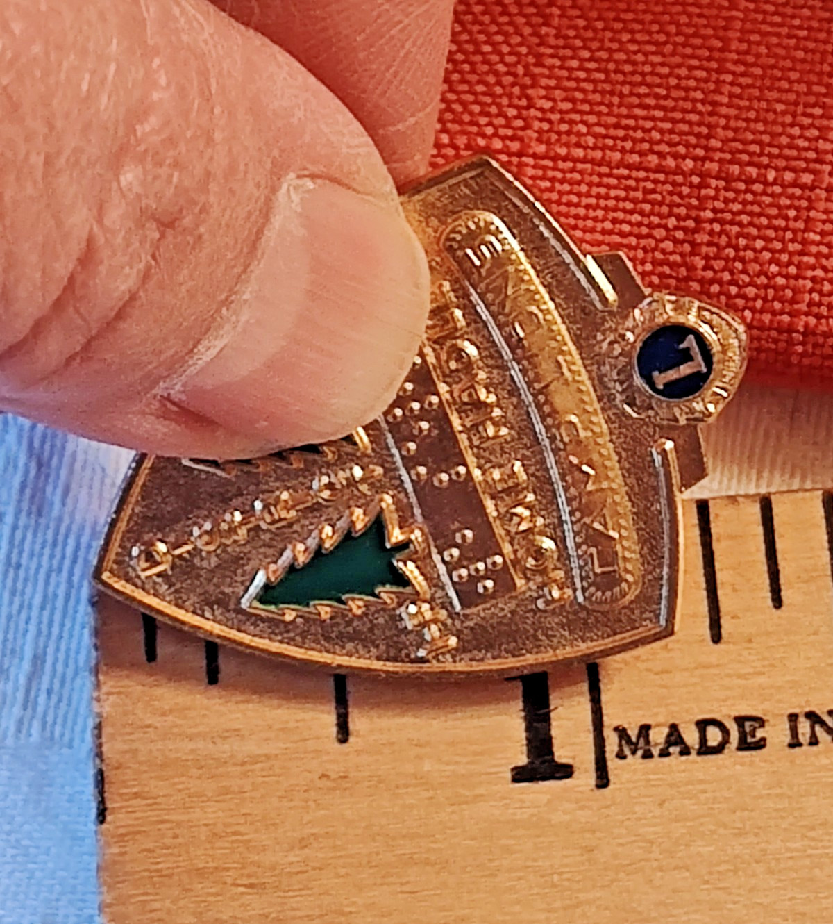 VTG Camp Lions Home Hadley District 1F / ILL Brail Gold Tone Pinch Back Pin