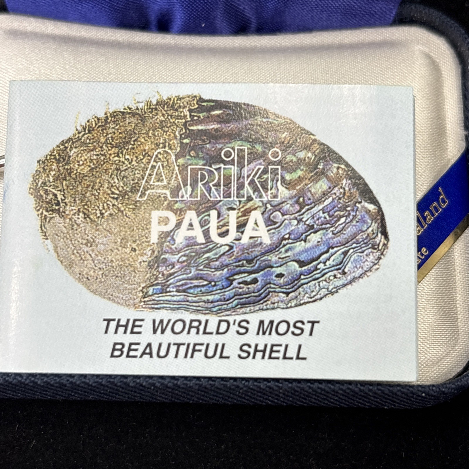 Ariki Paua Shell Inlay Silver Palladium Plate Blue Abalone Kiwi Bird Brooch Pin