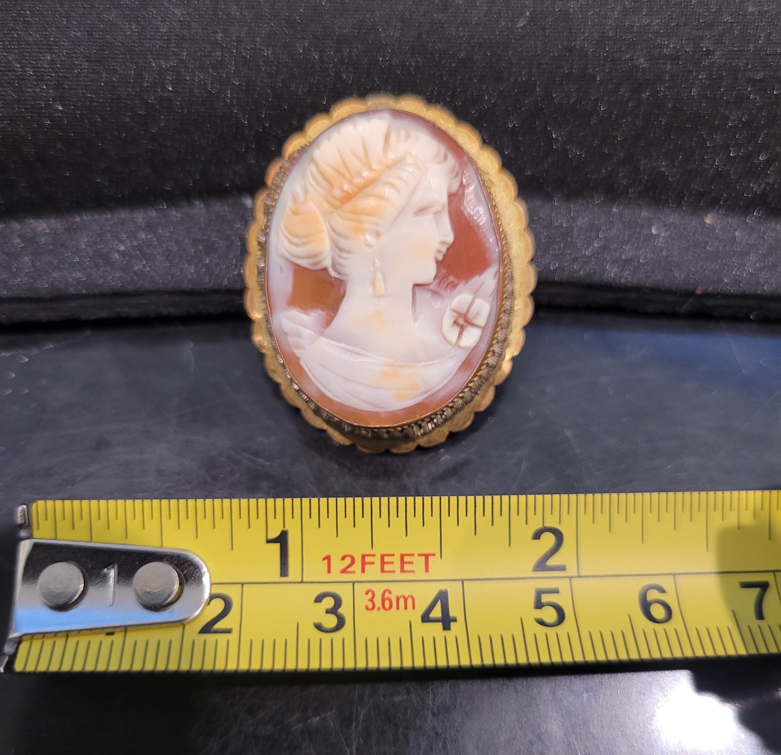 Oval Cameo Portrait Brooch Pin, Scalloped Gold-Tone Frame, White & Brown – Read