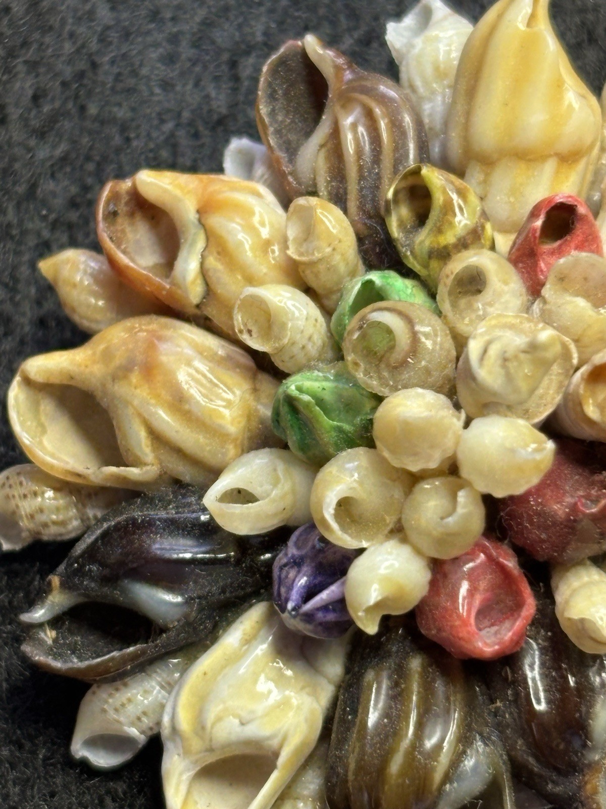 Vtg Artisan Made Natural Seashell Brooch Floral Design Multicolor 2” W/ Box