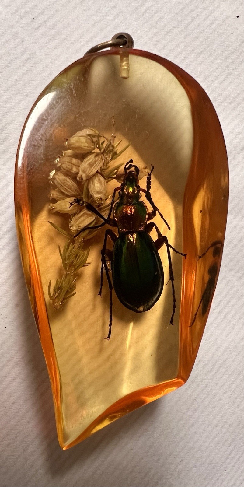 Amber Colored Resin Pendant With Fiery Search Ground Beetle & Flower 2.5”