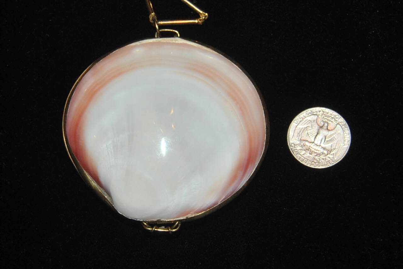 VINTAGE GOLD FRAMED LARGE CLAM SHELL PENDANT NECKLACE PURSE & BOX