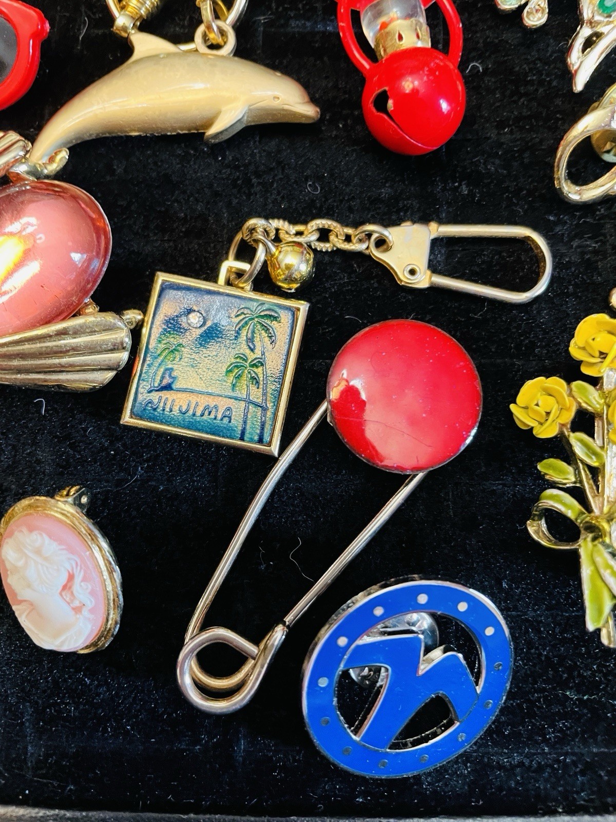 Jewelry Lot Brooches Insect Drummer Cameo Dolphin Keyring Swan Kilt Pin 18 Pcs